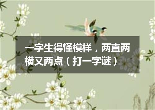 一字生得怪模样，两直两横又两点（打一字谜）
