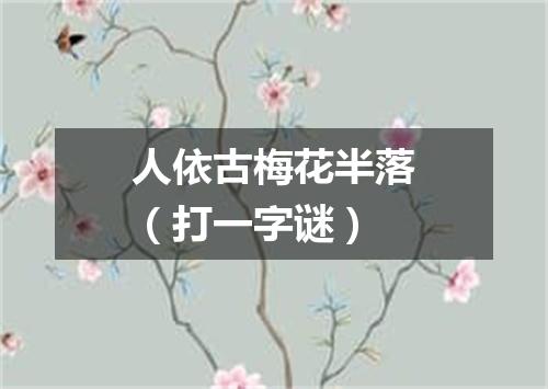人依古梅花半落（打一字谜）