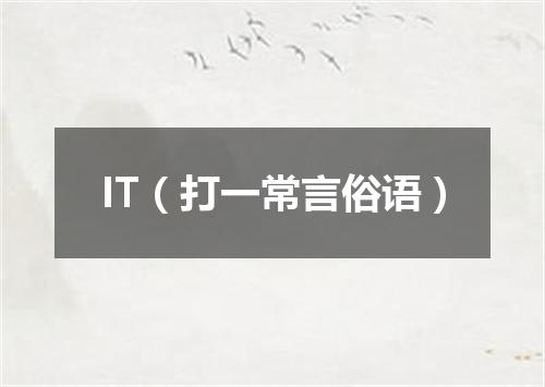 IT（打一常言俗语）