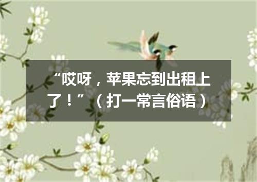 “哎呀，苹果忘到出租上了！”（打一常言俗语）
