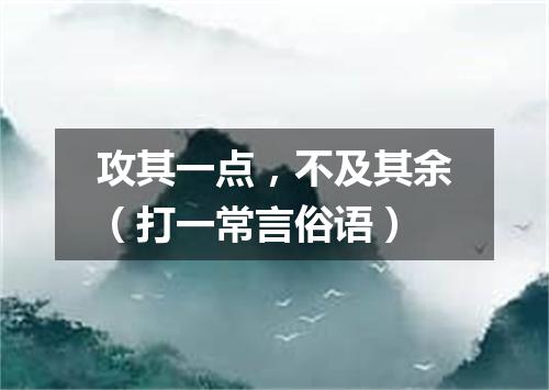 攻其一点，不及其余（打一常言俗语）