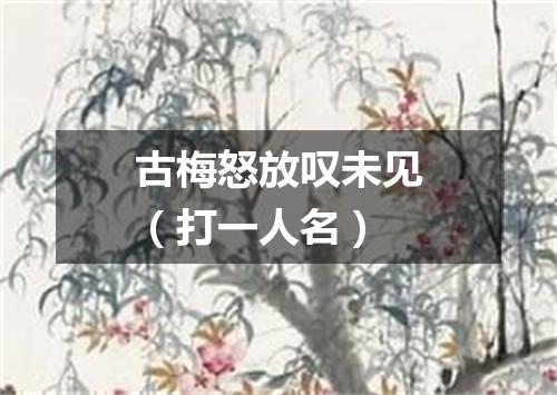 古梅怒放叹未见（打一人名）