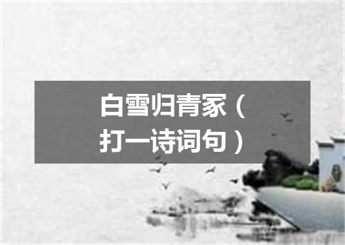 白雪归青冢（打一诗词句）