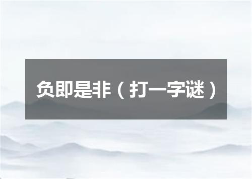 负即是非（打一字谜）