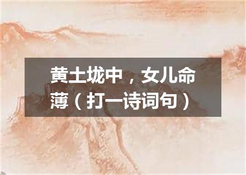 黄土垅中，女儿命薄（打一诗词句）