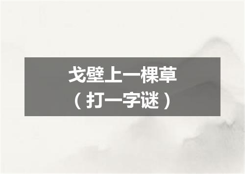 戈壁上一棵草（打一字谜）