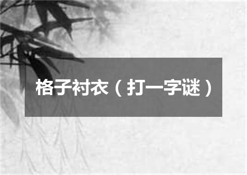 格子衬衣（打一字谜）