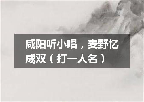咸阳听小唱，麦野忆成双（打一人名）