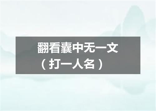 翻看囊中无一文（打一人名）