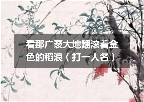 看那广袤大地翻滚着金色的稻浪（打一人名）