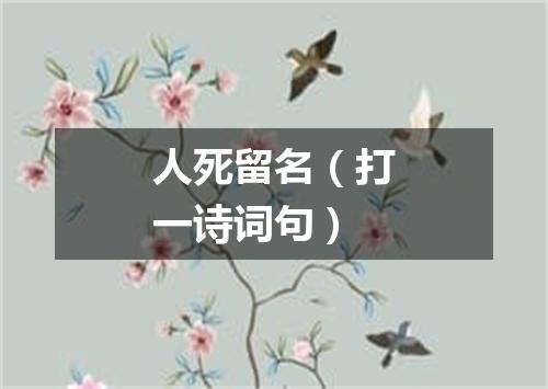 人死留名（打一诗词句）