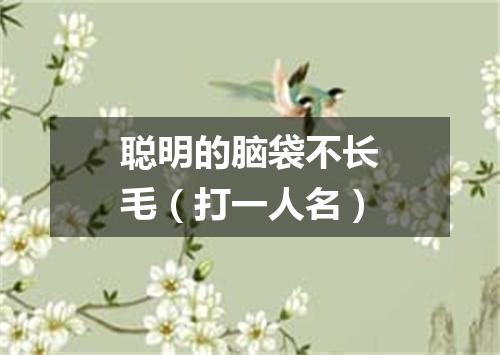 聪明的脑袋不长毛（打一人名）