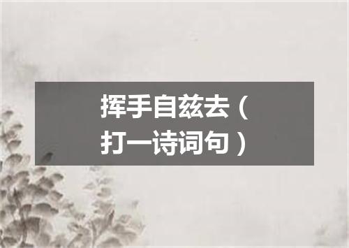 挥手自兹去（打一诗词句）