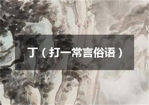 丁（打一常言俗语）