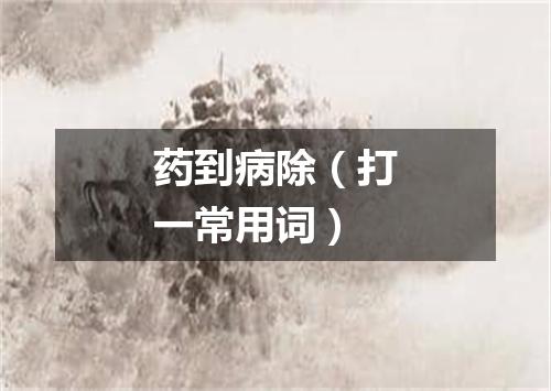 药到病除（打一常用词）