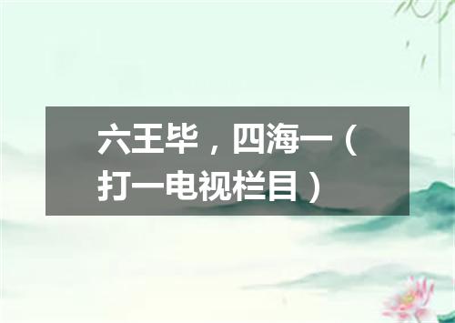 六王毕，四海一（打一电视栏目）