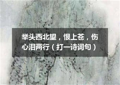 举头西北望，恨上苍，伤心泪两行（打一诗词句）