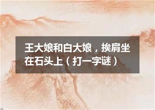 王大娘和白大娘，挨肩坐在石头上（打一字谜）