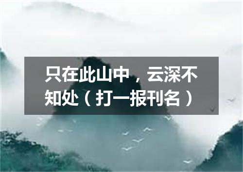 只在此山中，云深不知处（打一报刊名）