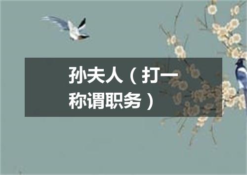 孙夫人（打一称谓职务）