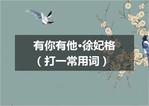 有你有他·徐妃格（打一常用词）