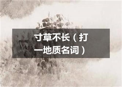 寸草不长（打一地质名词）