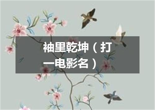 袖里乾坤（打一电影名）