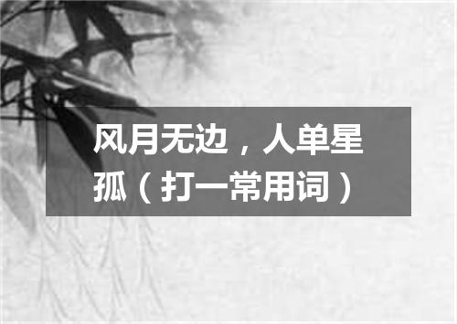 风月无边，人单星孤（打一常用词）