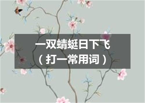 一双蜻蜓日下飞（打一常用词）