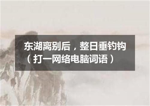 东湖离别后，整日垂钓钩（打一网络电脑词语）