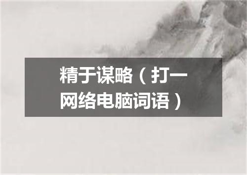 精于谋略（打一网络电脑词语）