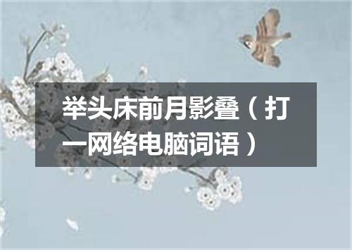 举头床前月影叠（打一网络电脑词语）