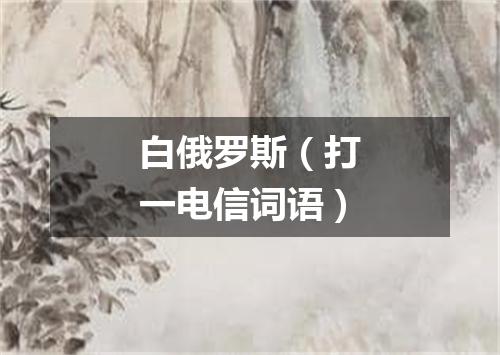 白俄罗斯（打一电信词语）