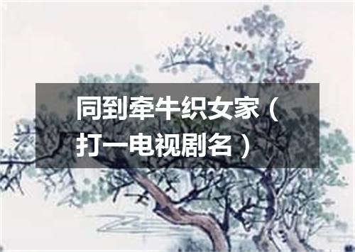 同到牵牛织女家（打一电视剧名）