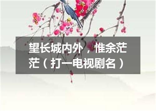 望长城内外，惟余茫茫（打一电视剧名）