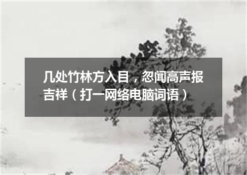 几处竹林方入目，忽闻高声报吉祥（打一网络电脑词语）