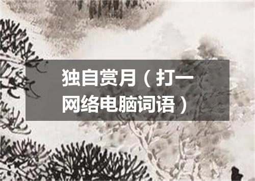 独自赏月（打一网络电脑词语）