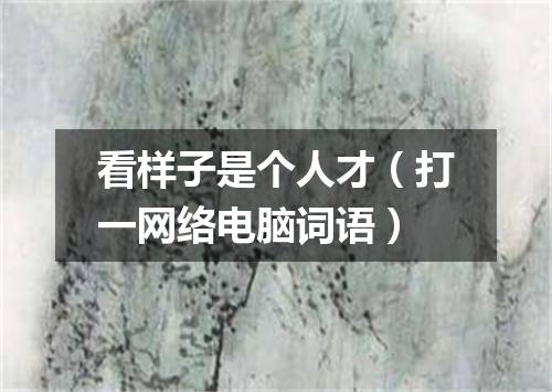 看样子是个人才（打一网络电脑词语）