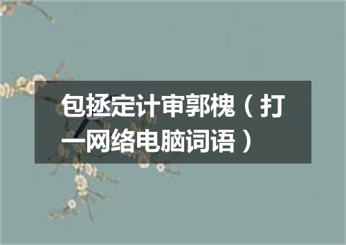 包拯定计审郭槐（打一网络电脑词语）