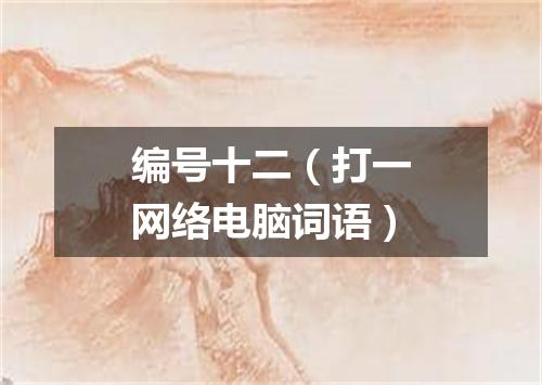 编号十二（打一网络电脑词语）
