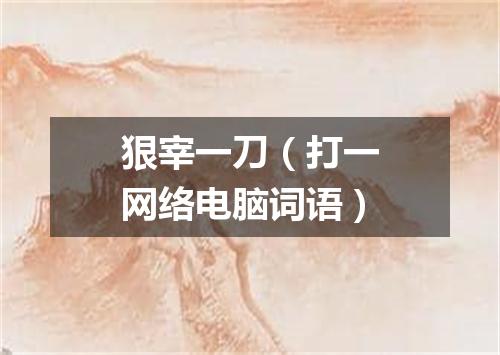 狠宰一刀（打一网络电脑词语）