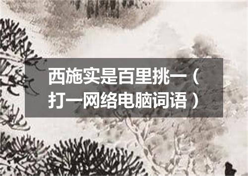 西施实是百里挑一（打一网络电脑词语）