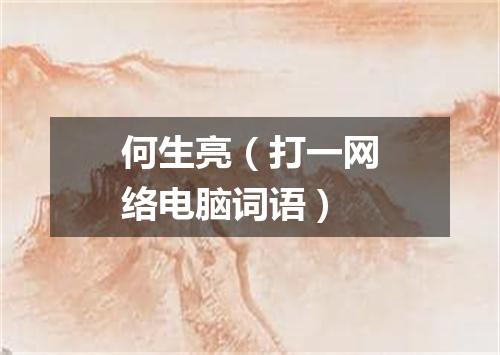 何生亮（打一网络电脑词语）