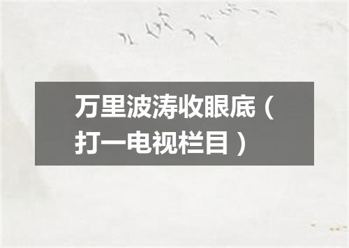 万里波涛收眼底（打一电视栏目）
