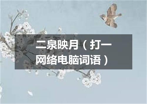 二泉映月（打一网络电脑词语）