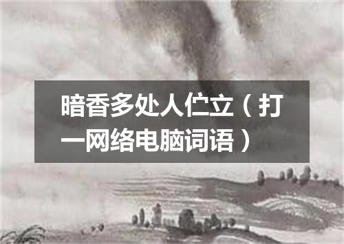 暗香多处人伫立（打一网络电脑词语）