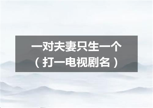 一对夫妻只生一个（打一电视剧名）
