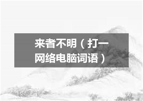 来者不明（打一网络电脑词语）
