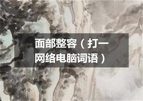 面部整容（打一网络电脑词语）