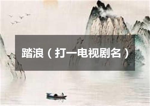 踏浪（打一电视剧名）